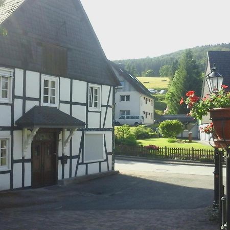 Am Bach Villa Олсберг Екстериор снимка