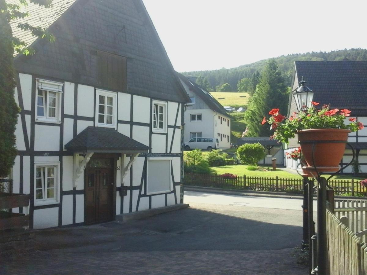 Am Bach Villa Олсберг Екстериор снимка